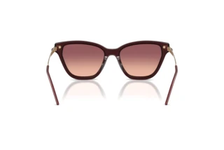 Bagside Emporio Armani EA4251 (62658D)