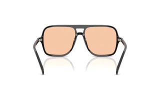 Bagside Emporio Armani EA4252U (501793)