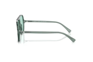Sidevisning Emporio Armani EA4252U (627065)