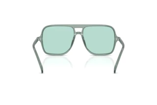 Bagside Emporio Armani EA4252U (627065)