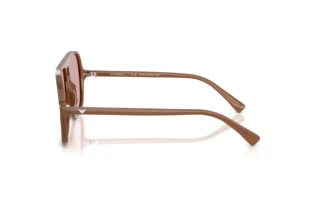 Sidevisning Emporio Armani EA4252U (627173)