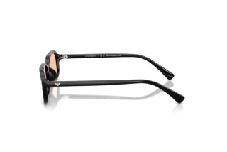 Sidevisning Emporio Armani EA4253U (501793)