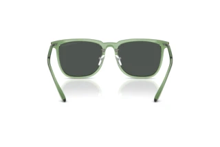 Bagside Emporio Armani EA4255D (536287)