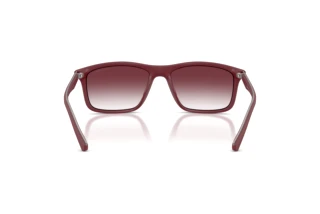 Bagside Emporio Armani EA4257U (52618H)