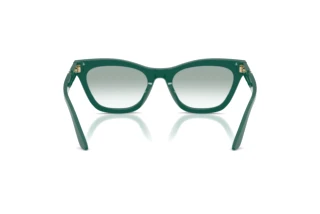 Bagside Emporio Armani EA4259U (63248E)