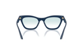 Bagside Emporio Armani EA4259U (63253F)