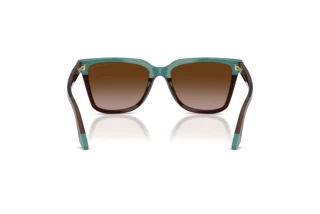 Bagside Emporio Armani EA4261 (631813)