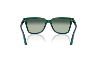 Bagside Emporio Armani EA4261 (631919)