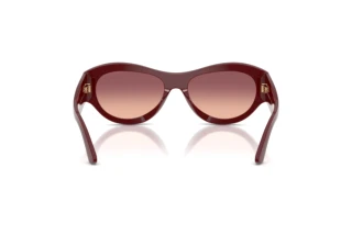 Bagside Emporio Armani EA4265U (63238D)