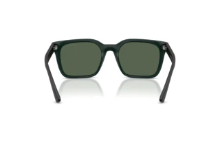 Bagside Emporio Armani EA4269 (637071)