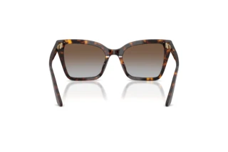 Bagside Emporio Armani EA4273BU (502689)