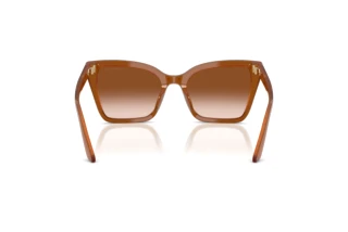 Bagside Emporio Armani EA4273BU (637613)