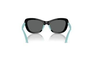 Bagside Emporio Armani EK4004 (501787)