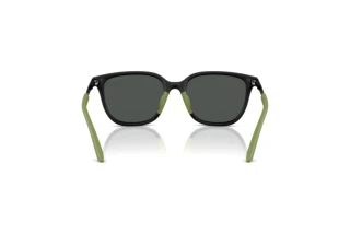 Bagside Emporio Armani EK4006U (500187)