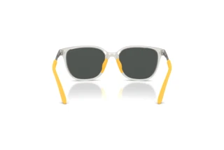 Bagside Emporio Armani EK4006U (627987)