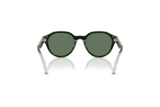 Bagside Emporio Armani EK4008U (638182)