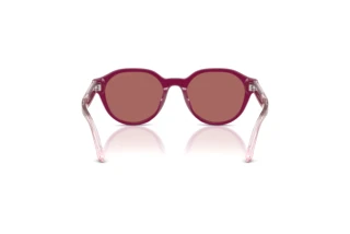 Bagside Emporio Armani EK4008U (638369)