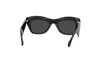 Bagside Etro ETRO 0004/G/S (807/IR)