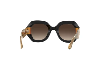 Bagside Etro ETRO 0009/S (71C/HA)