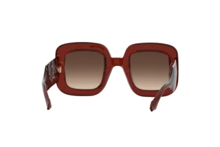 Bagside Etro ETRO 0015/S (2LF/HA)