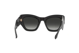 Bagside Etro ETRO 0017/S (KB7/9O)