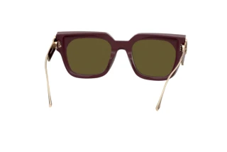 Bagside Etro ETRO 0027/G/S (LHF/QT)