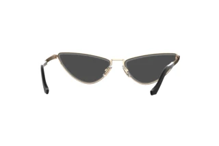 Bagside Etro ETRO 0035/S (000/IR)