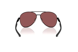 Bagside Ferrari Scuderia FZ5002D (101/1E)