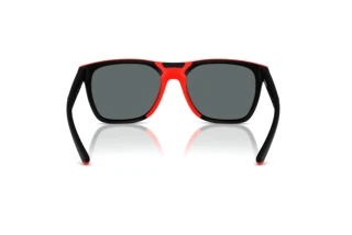 Bagside Ferrari Scuderia FZ6013D (504/81)