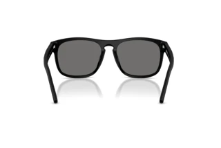 Bagside Ferrari Scuderia FZ6020U (701/81)