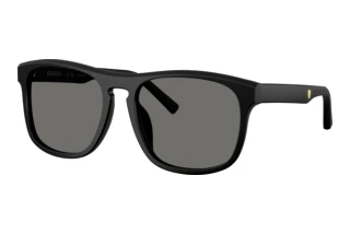 Forfra Ferrari Scuderia FZ6020U (701/81)