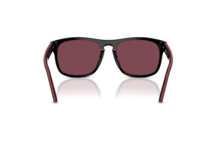 Bagside Ferrari Scuderia FZ6020U (741/1E)