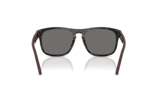 Bagside Ferrari Scuderia FZ6020U (742/81)