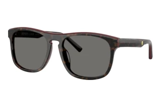 Forfra Ferrari Scuderia FZ6020U (742/81)