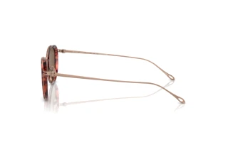 Sidevisning Giorgio Armani AR6148T (333573)