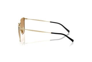 Sidevisning Giorgio Armani AR6155 (301313)