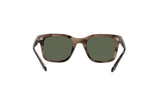 Bagside Giorgio Armani AR8138 (573431)