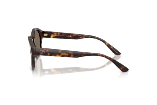 Sidevisning Giorgio Armani AR8146 (502673)