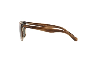 Sidevisning Giorgio Armani AR8149 (590058)