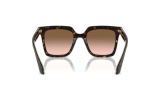 Bagside Giorgio Armani AR8156 (587951)