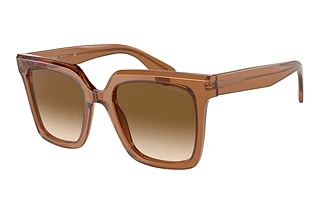 Forfra Giorgio Armani AR8156 (593251)