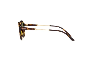 Sidevisning Giorgio Armani AR8160 (50262A)