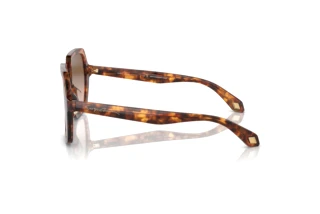 Sidevisning Giorgio Armani AR8193U (603351)