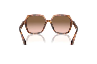 Bagside Giorgio Armani AR8193U (603351)