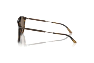 Sidevisning Giorgio Armani AR8198 (603773)