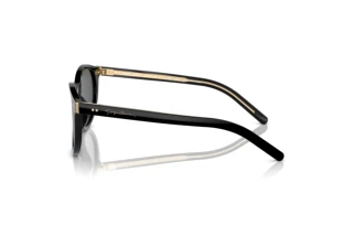 Sidevisning Giorgio Armani AR8199U (587587)