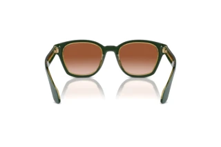 Bagside Giorgio Armani AR8207 (608613)