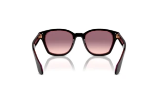 Bagside Giorgio Armani AR8207 (60888D)