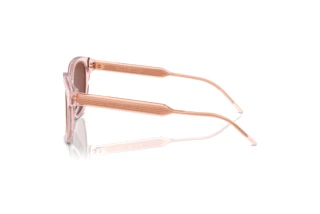 Sidevisning Giorgio Armani AR8210U (6073C5)