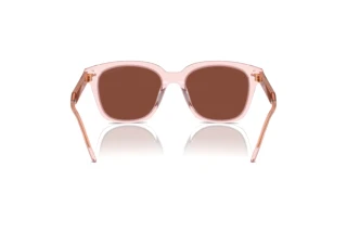 Bagside Giorgio Armani AR8210U (6073C5)